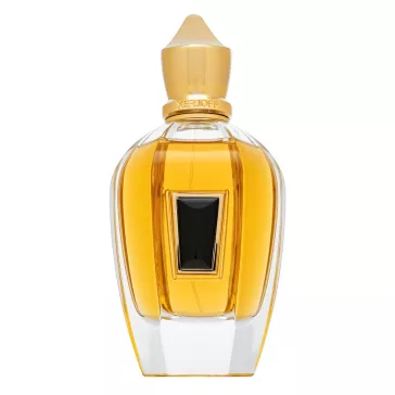 Xerjoff 17/17 Homme PAR férfi parfüm 100 ml